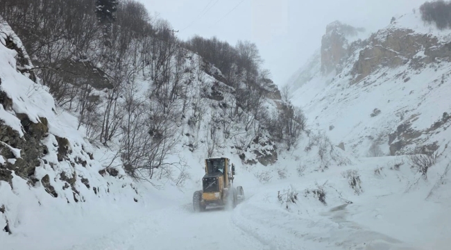 Şırnak-Hakkari yoluna çığ düştü