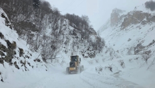 Şırnak-Hakkari yoluna çığ düştü