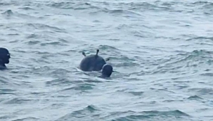 İğneada açıklarında mayın imha edildi