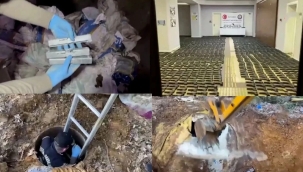 İstanbul Pendik'te organize suç operasyonu