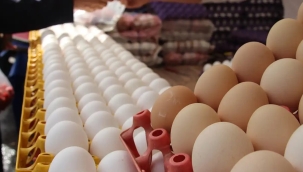 TR'de yumurta fiyatları son bir ayda %25 geriledi