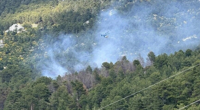 Antalya Kaş'ta orman yangını