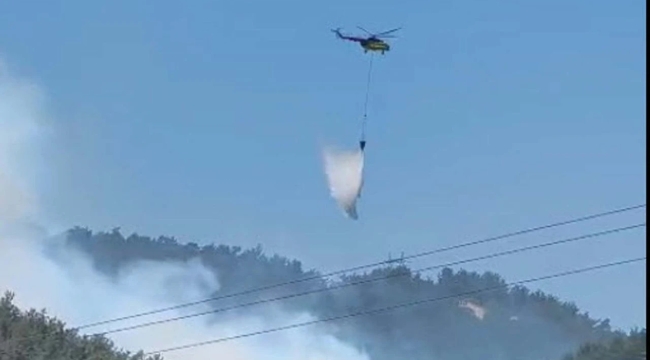 Manisa Soma'da orman yangını