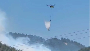 Manisa Soma'da orman yangını