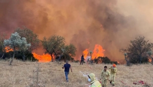 Aydın'da zirai ve otluk alanda yangın