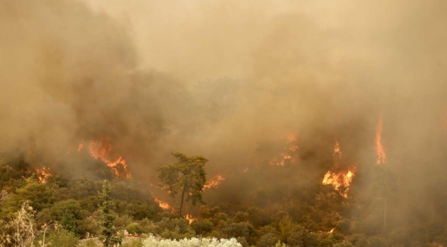 Muğla Göcek'te orman yangını
