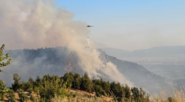 Pamukkalede orman yangını