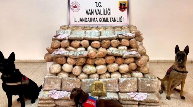 Van'da uyuşturucu operasyonu: 2 gözaltı