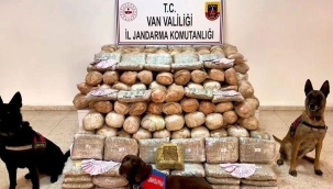 Van'da uyuşturucu operasyonu: 2 gözaltı
